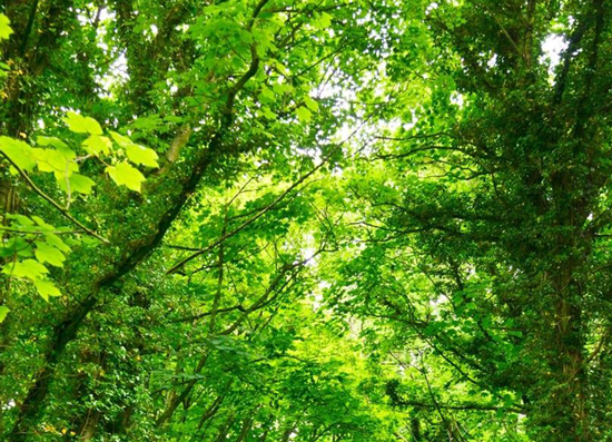 Understanding the Basics of Quantum Physics